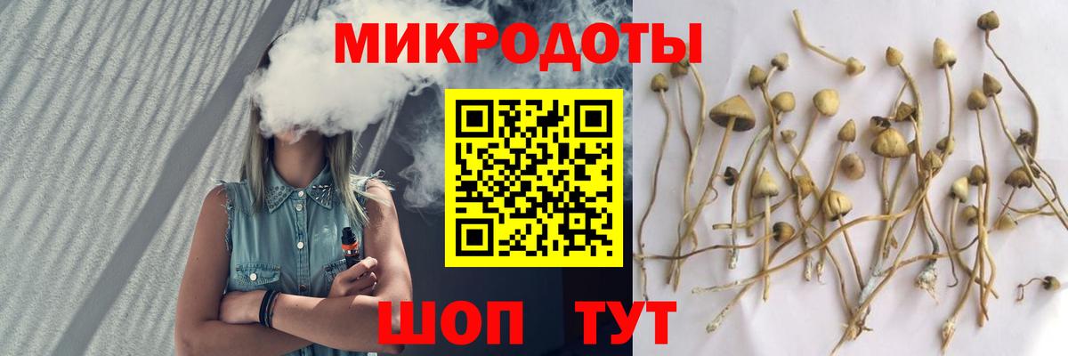 Магнитогорск  Галлюциногенные грибы Psilocybine cubensis  Вход с VPN 